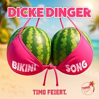Timo Feiert, Die Zipfelbuben – Dicke Dinger (Bikini Song)