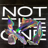 Mikky Ekko – Not The One