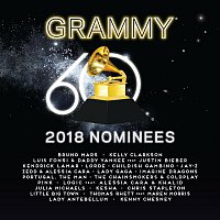 Přední strana obalu CD 2018 GRAMMY® Nominees