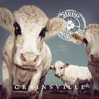 Steve ‘n’ Seagulls – Grainsville