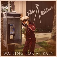 Pete Molinari – Waiting For A Train