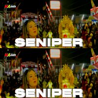 Přední strana obalu CD Seniper