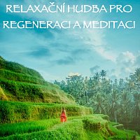 Relaxační Hudba pro Regeneraci a Meditaci