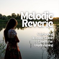 Přední strana obalu CD Melodic Reverie: Captivating Acoustic Guitar Covers for Daydreaming