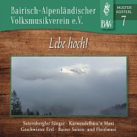 Soiernbergler Sanger, Karwendelhutt’n Musi, Geschwister Ertl – Bairisch-Alpenländischer Volksmusikverein E.V. - Musterkofferl 7 - Lebe hoch!