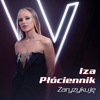 Iza Płóciennik – Zaryzykuję