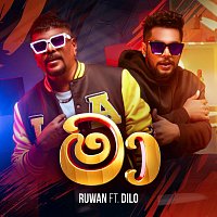 Přední strana obalu CD Maa (feat. Dilo)