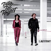 Peter Bič Project – Labyrint CD