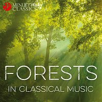 Various  Artists – Forests in Classical Music