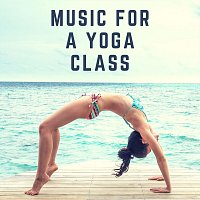 Různí interpreti – Music for a Yoga Class