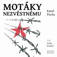 Igor Bareš – Pecka: Motáky nezvěstnému CD-MP3