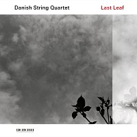 Danish String Quartet – Last Leaf