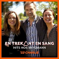 Various  Artists – En Trekant En Sang 3 - Hits Hos Brygmann