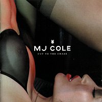 MJ Cole – Cut To The Chase
