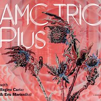 AMC Trio – Plus with Regina Carter & Eric Marienthal