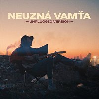 Boy Wonder – Neuzná Vamťa (Unplugged Version)