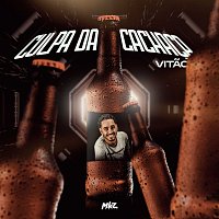 MC Vitao – Culpa Da Cachaca