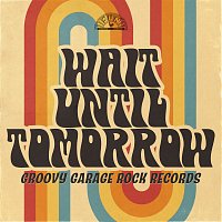 Různí interpreti – Wait Until Tomorrow: Groovy Garage Rock Records