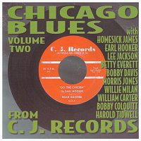 Různí interpreti – Chicago Blues Volume 2