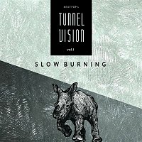 Various  Artists – Vol.1: Slow Burning