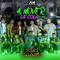 Grupo Puro Barrio – A mover la cola [En Vivo]
