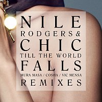 Till The World Falls [Remixes]