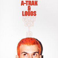 A-Trak, Loods – What Can I Do