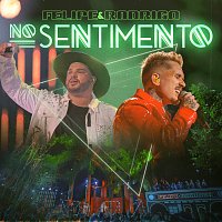 No Sentimento [Ao Vivo]