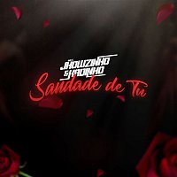 MC's Jhowzinho & Kadinho – Saudade de tu