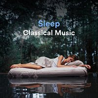 Chris Snelling, Nils Hahn, Max Arnald, James Shanon, Robyn Goodall, Chris Mercer – Sleep Classical Music