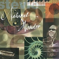 Stevie Wonder – Natural Wonder