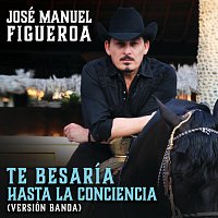 José Manuel Figueroa – Te Besaría Hasta La Conciencia [Versión Banda]