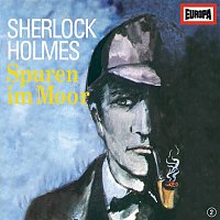 Sherlock Holmes – 02/Spuren im Moor