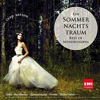 Various  Artists – Ein Sommernachtstraum: Best of Mendelssohn