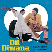 Dil Diwana [Original Motion Picture Soundtrack]