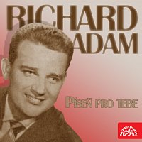 Richard Adam – Píseň pro tebe MP3