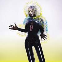 Björk – Vulnicura