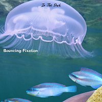 Bouncing Fixation – In the Dark