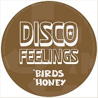 Disco Feelings – Birds & Honey