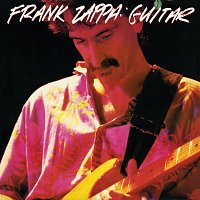 Frank Zappa – Guitar