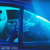 Ace Tee – STEEZ