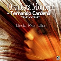 Orquesta Montejo De Fernando Cardena – Linda Mesticita