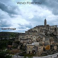 Lost Frogs – Wind for You
