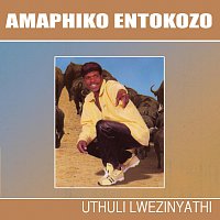 Amaphiko Entokozo – Uthuli Lwezinyathi