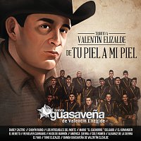 Tributo A Valentín Elizalde De Tu Piel A Mi Piel