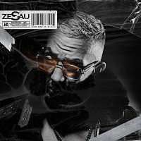 Zesau – D.E.L