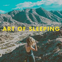 Art Of Sleeping – Crazy