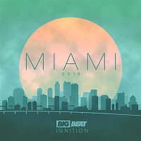Various Artists.. – Big Beat Ignition: Miami 2018