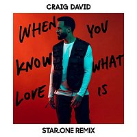 Craig David – When You Know What Love Is (Star.One Remix)