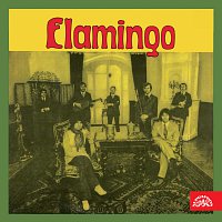Přední strana obalu CD Flamingo